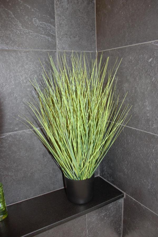 דה האן Residence Chateau Angelus מראה חיצוני תמונה